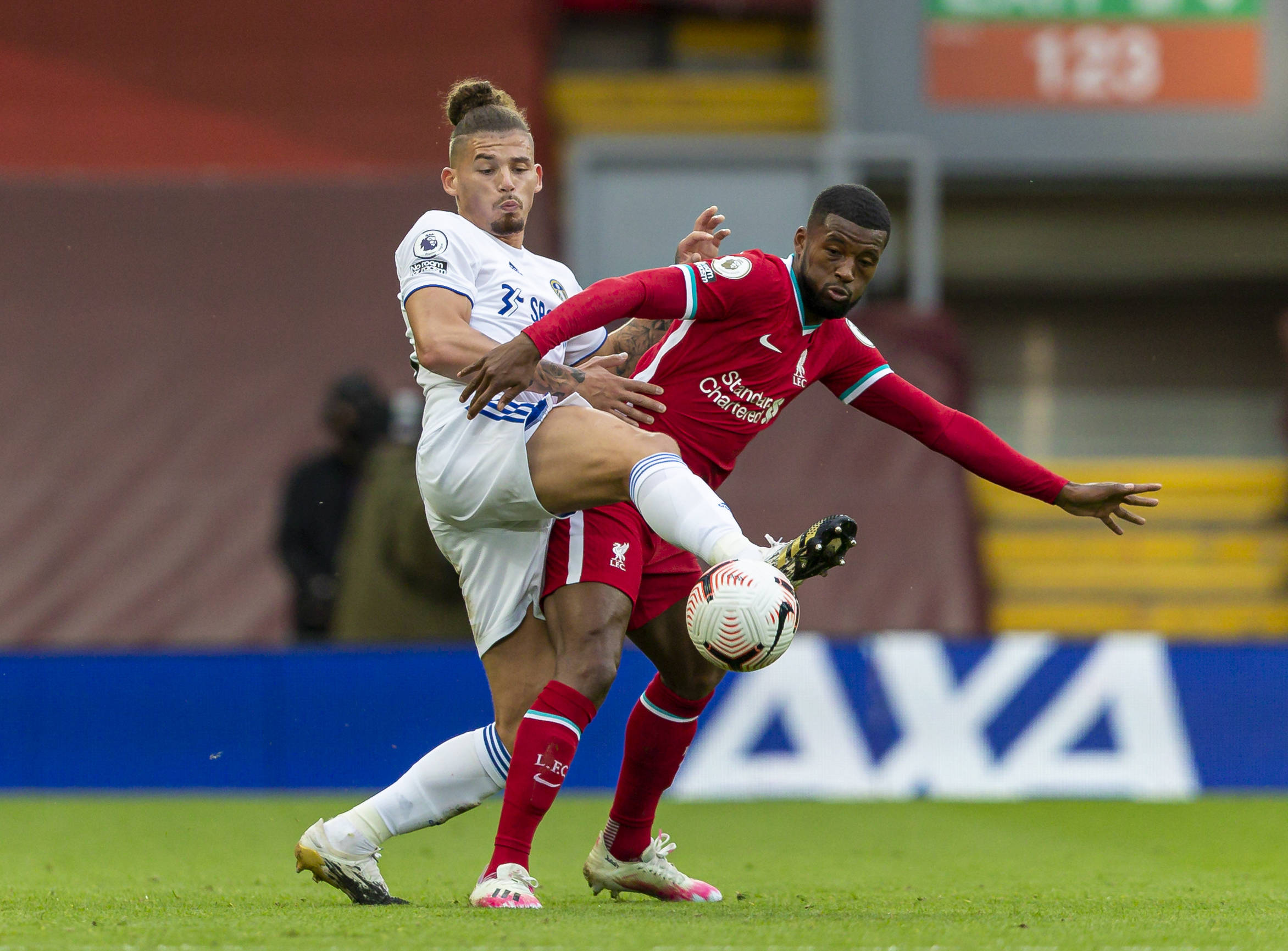 从引进充满 从引进充满